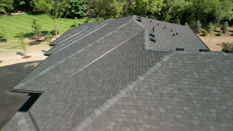 Best Roof Moss and Algae Removal  in Harbor Hills, OH